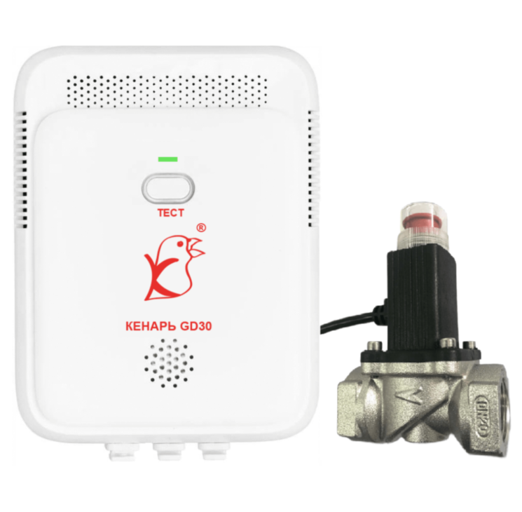 Комплект Кенарь GD30-CN + DN15 (1/2’)