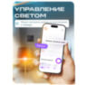 Умный сенсорный двухканальный WIFI выключатель WF-E2 Черный